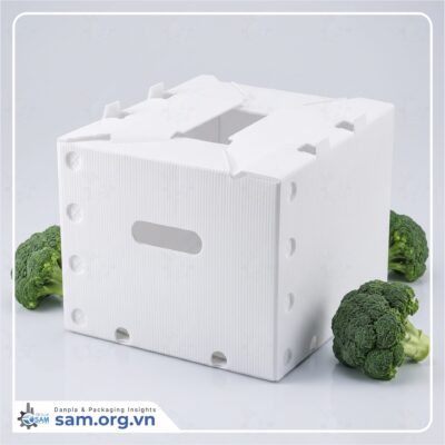Thùng Danpla đục lỗ thông gió cho nông sản và thực phẩm